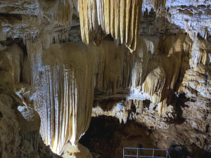 Divaneide Basílio é autora da Lei que institui a “Rota das Grutas e Cavernas do RN”