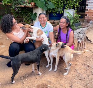 Divaneide Basílio propõe audiência pública para discutir proteção animal e responsabilidade coletiva